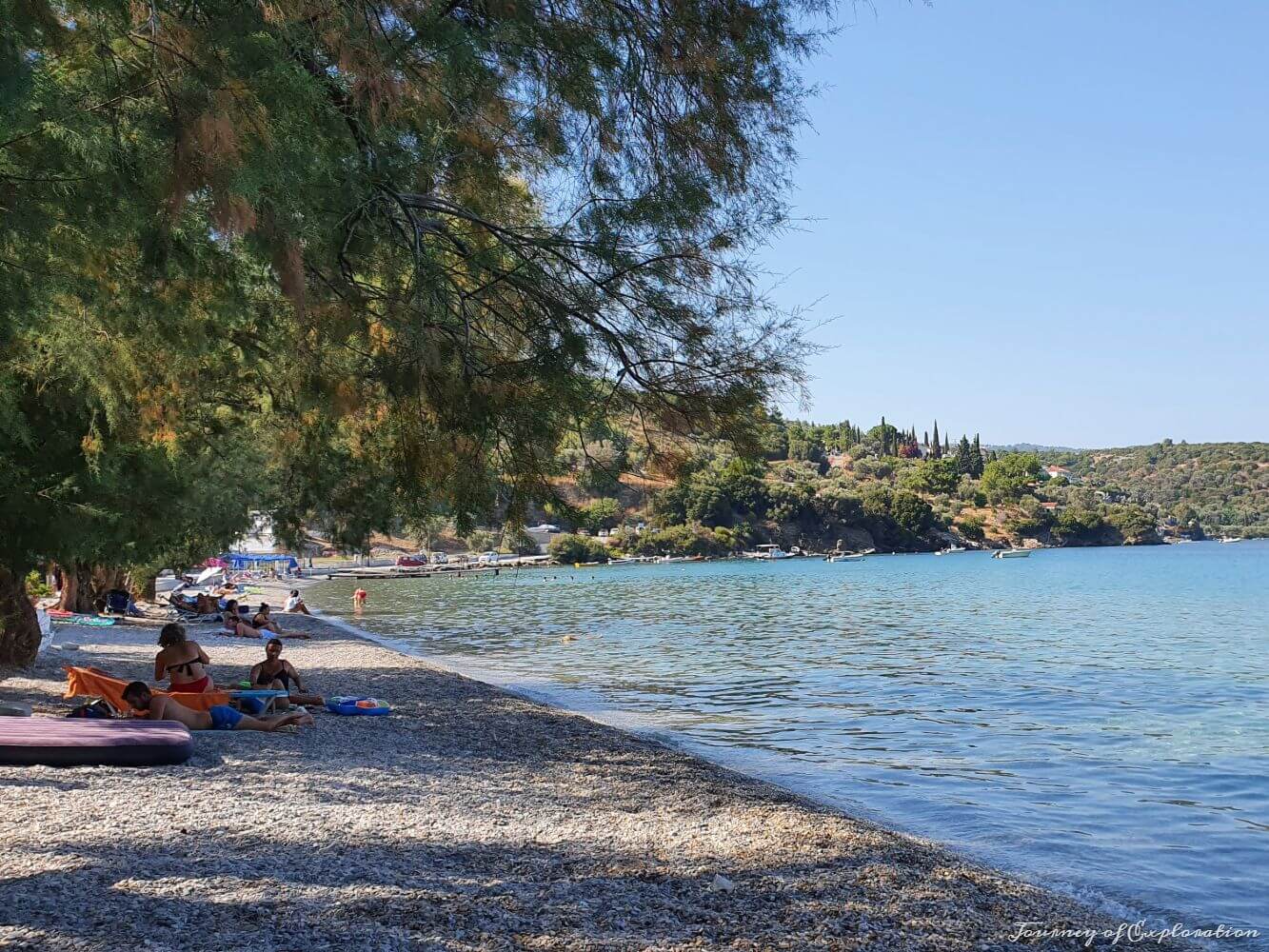 Trees in Kerveli Beach, Samos