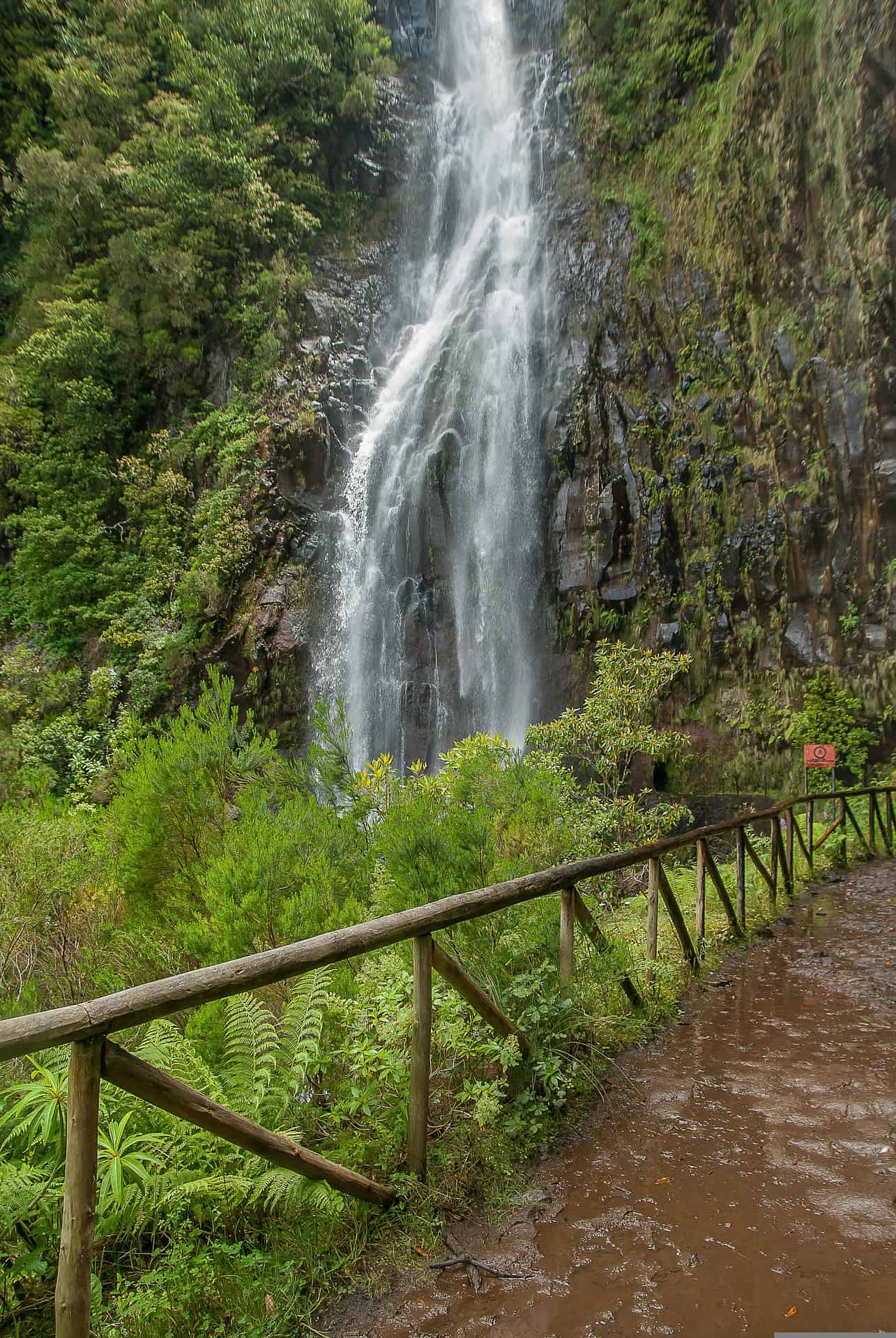 Risco waterfall, Madeira