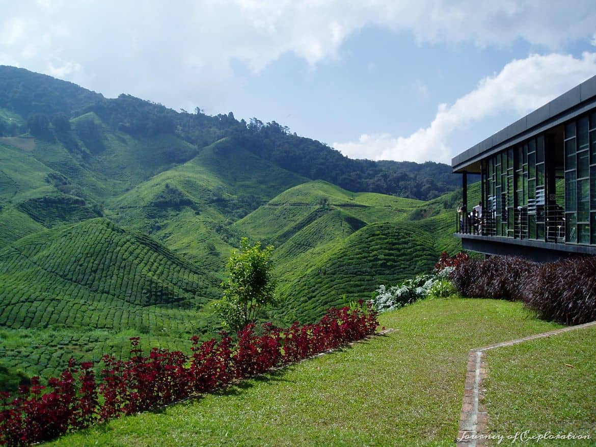 Tea plantations at Cameron Highlands, Malaysia