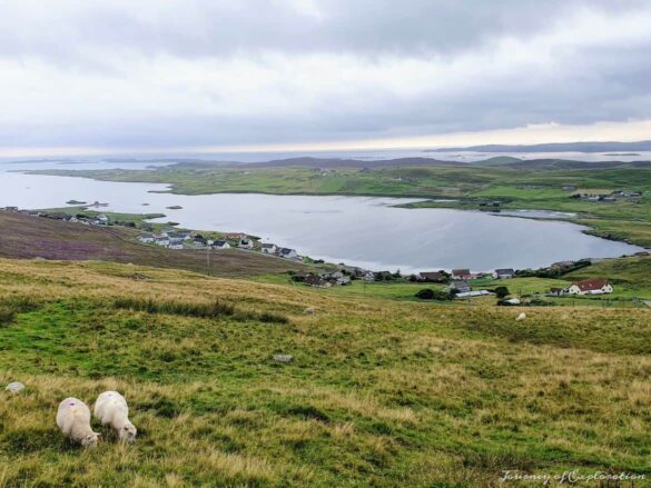 View point over Whiteness, Shetland